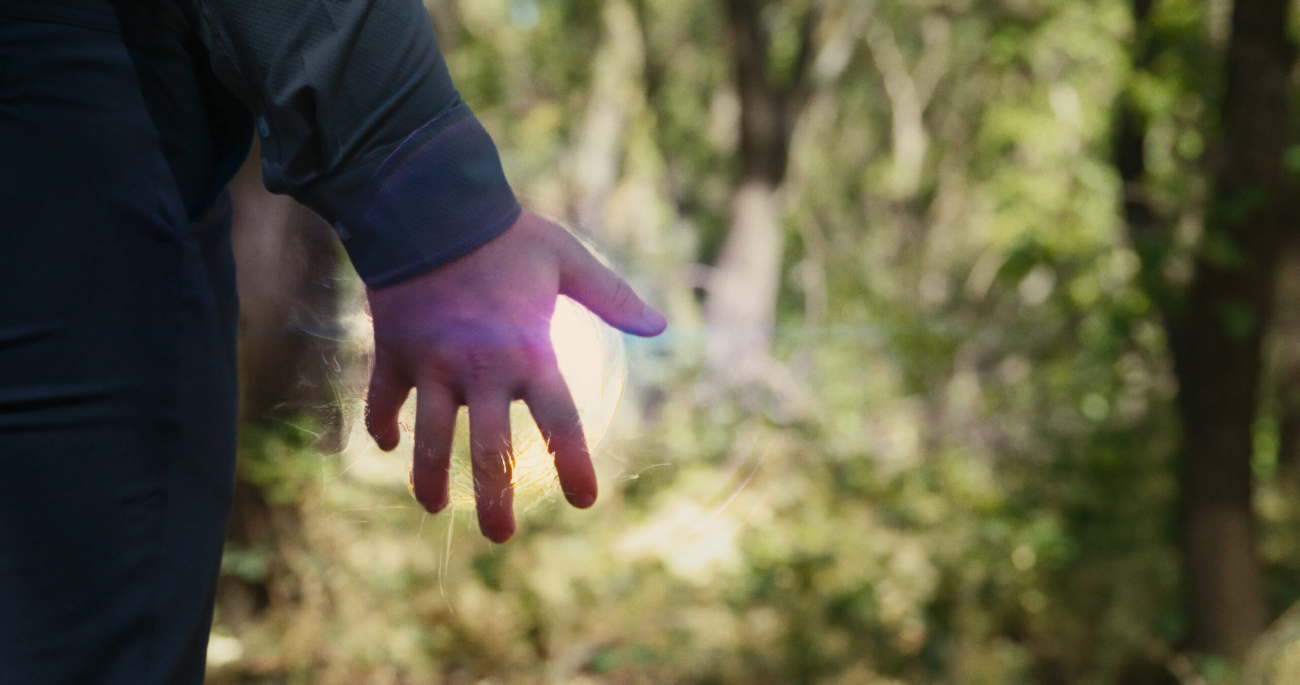 VAN_hand